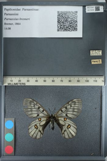 Media type: image;   Entomology 174250